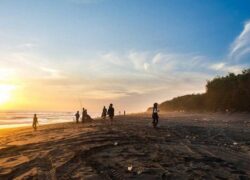 pantai kuwaru bantul jogja